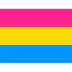 Pansexual Flag 3ft x 5ft