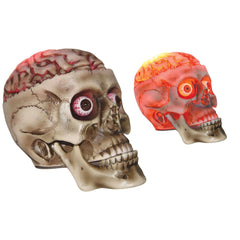 7.5" Realistic Glowing Skull w/Bloody Brain