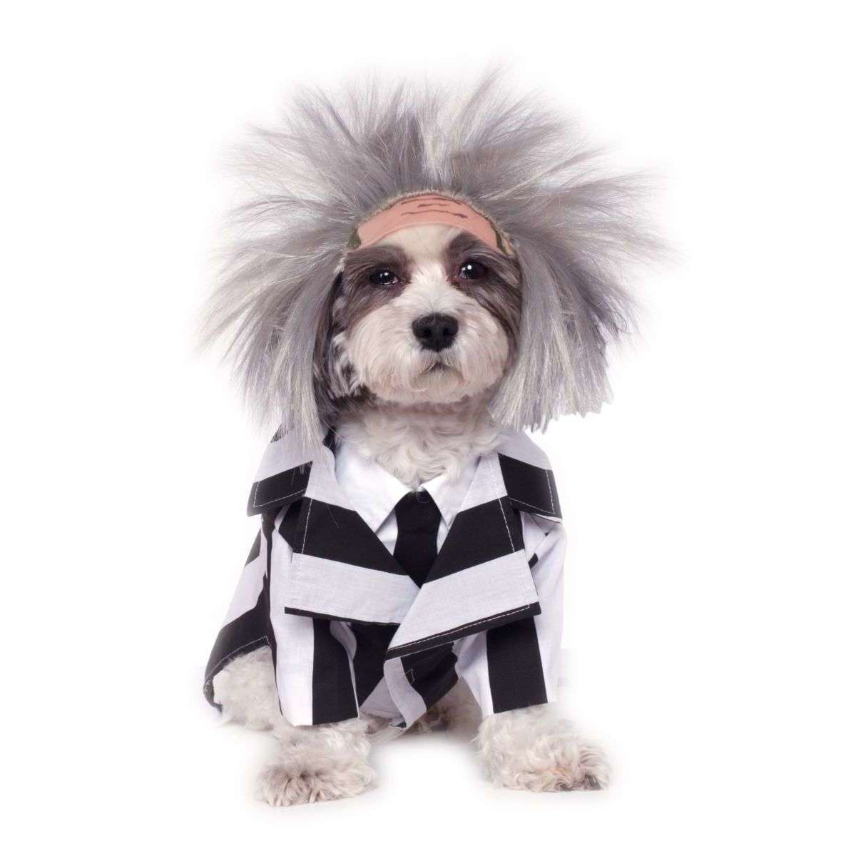 Beetlejuice Pet Costume w/ Shirtfront Tie And Wig