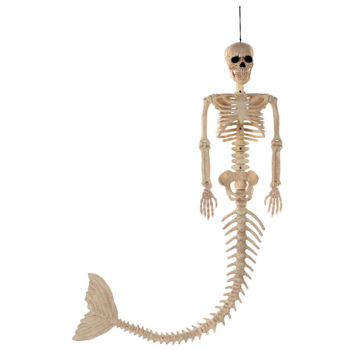 Mermaid Skeleton