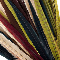 Assorted Pheasant Feathers