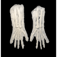 Woochie FX Skeleton Arms Foam Latex Prosthetic
