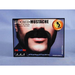 Black Horseshoe Mustache