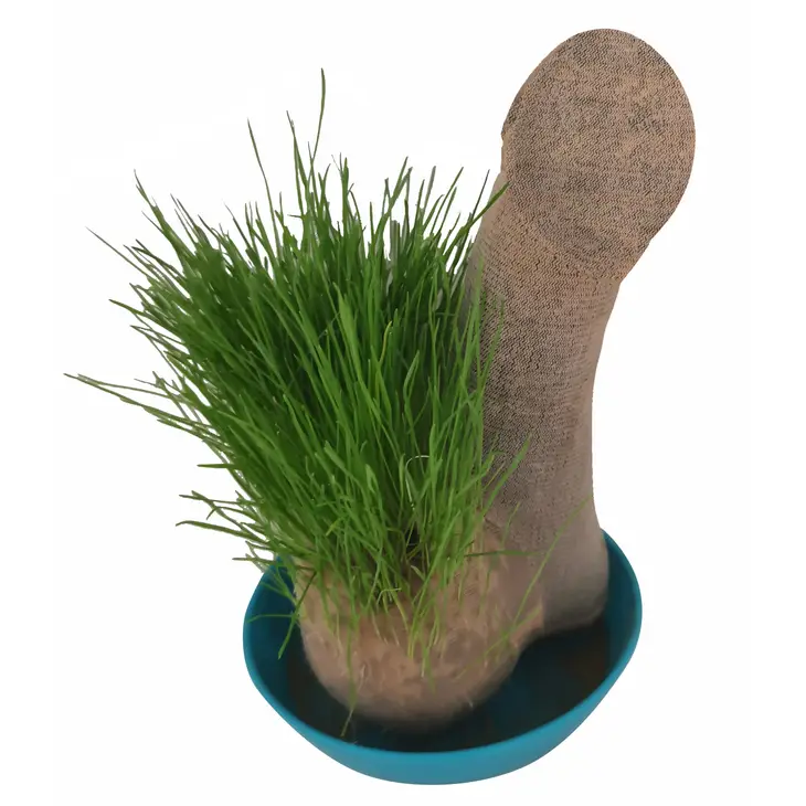 Grow Your Own Hairy Balls Planter
