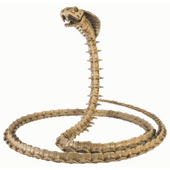 Skeleton Cobra