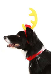 How the Grinch Stole Christmas: Officially Licensed Max Dog Costume