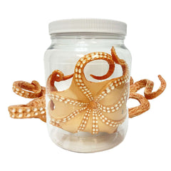 Medium Octopus Specimen Jar