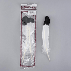 White Quil Feathers Dipped Black {Assorted}