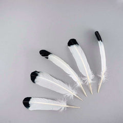 White Quil Feathers Dipped Black {Assorted}