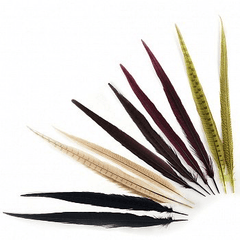 Assorted Pheasant Feathers