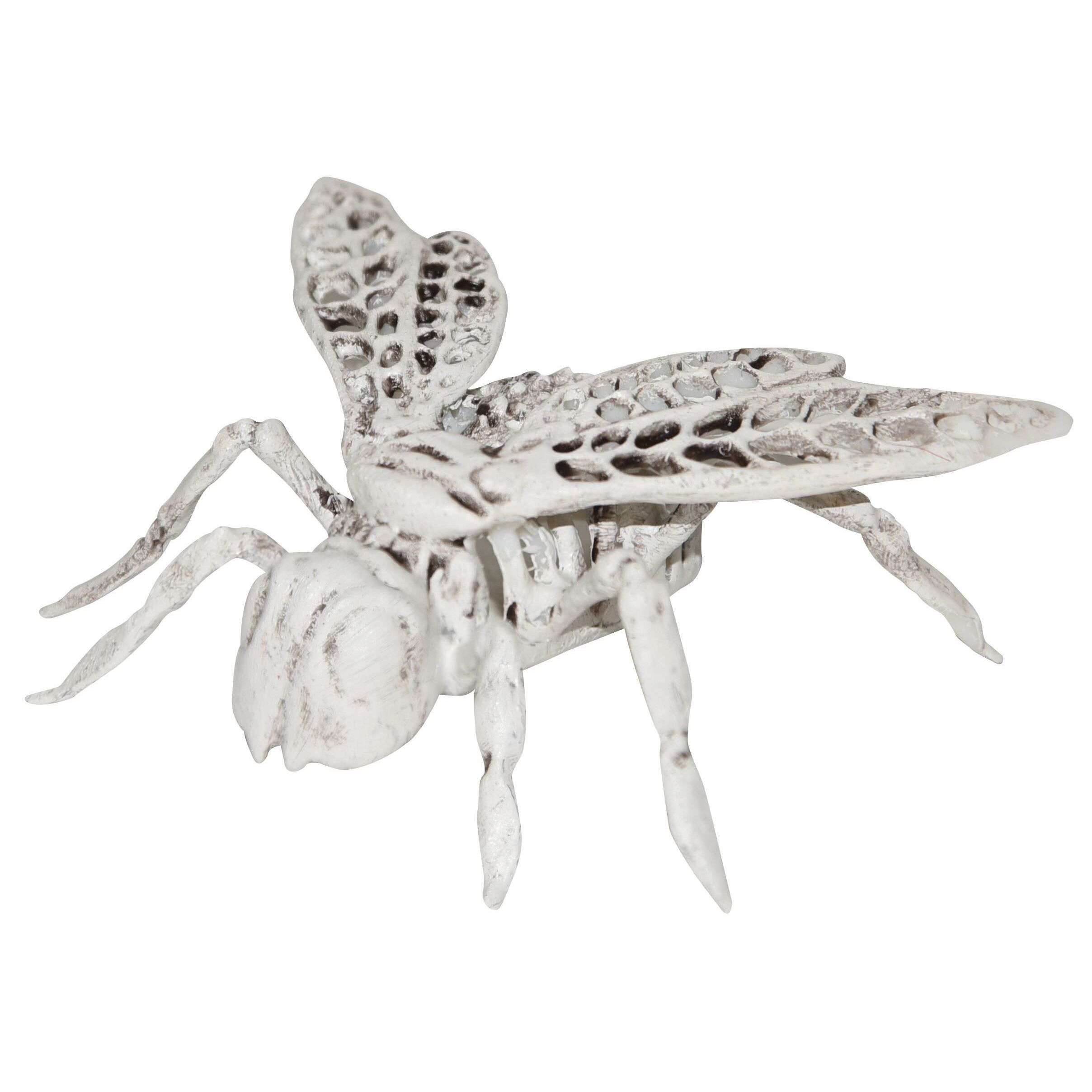 Giant Skeleton Fly