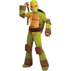 Teenage Mutant Ninja Turtles Deluxe Michaelangelo Childs Costume