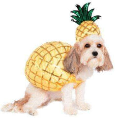 Pineapple Body Suit And hat Dog Costume