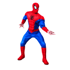 Marvel Universe Spider-Man Adult Costume