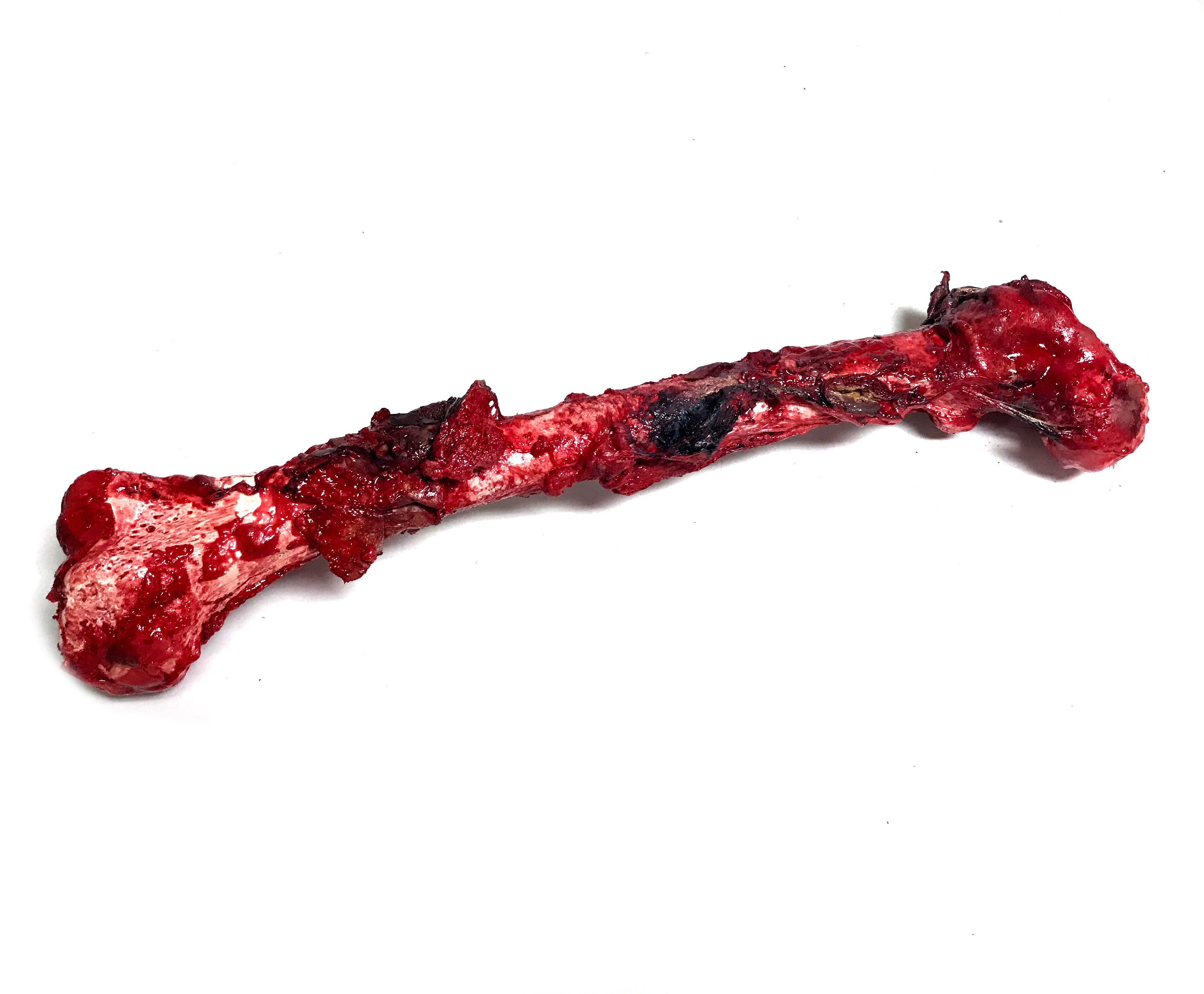 Bloody, Grisly Femur Bone Special Effects Prop with Realistic Skin and Gore