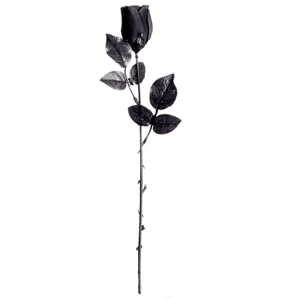 Grey Rose