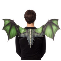 Sublimated Dragon Wings