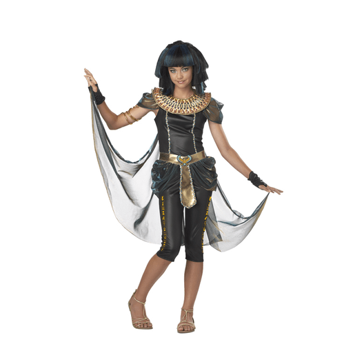 Dark Elegant Egyptian Princess Adult Costume