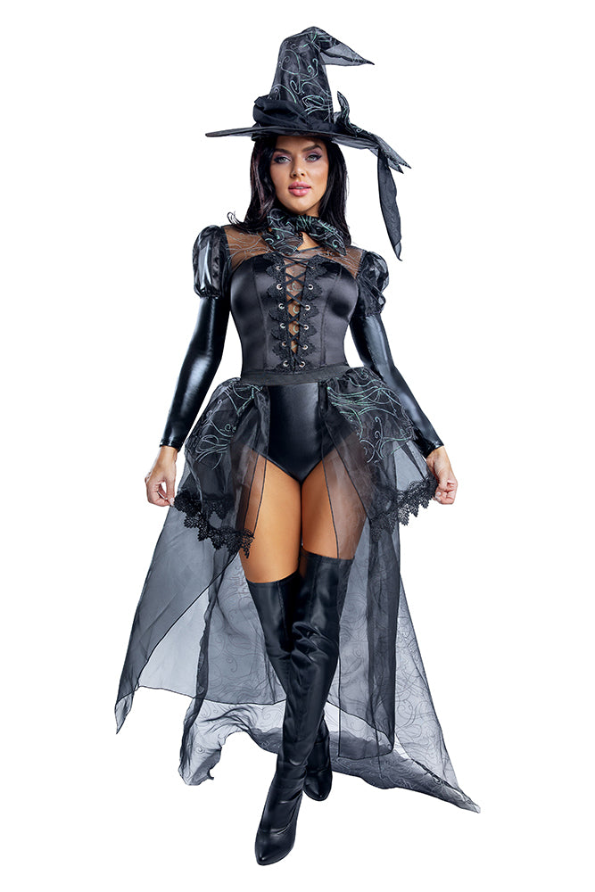 Wickedly Sexy Witch Adult Costume