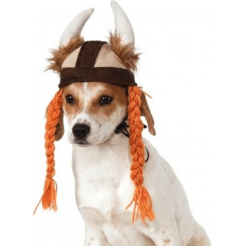 Viking Hat with Braids for Pets