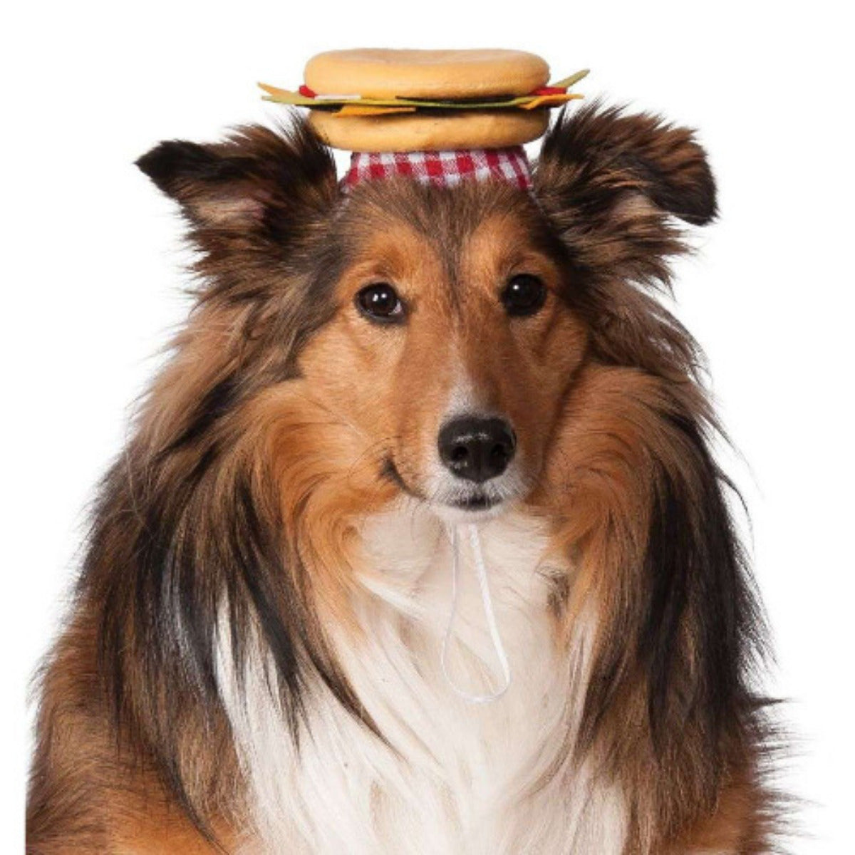 Cheeseburger Hat for Pets