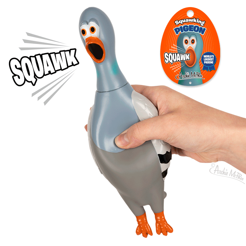 World's Loudest Squawking Pigeon