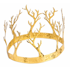 Medieval Fantasy Crown of Antlers