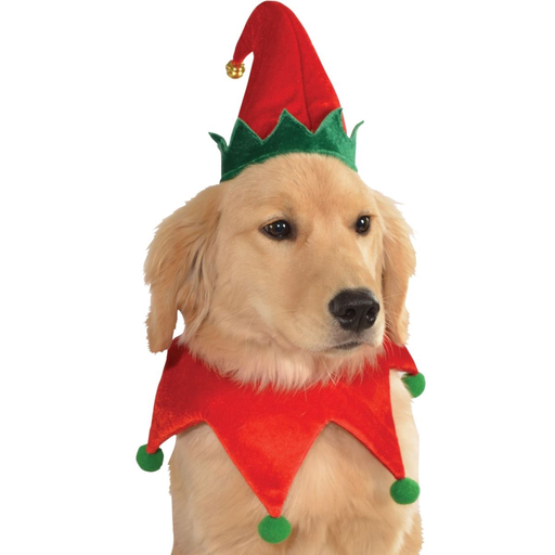 Christmas Elf Pet Hat with Bell and Collar