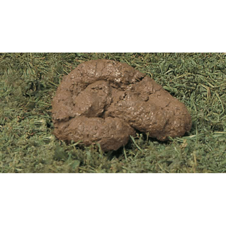 Realistic Dog Poop