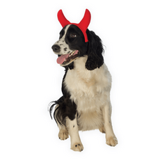 Red Devil Horn Pet Headband