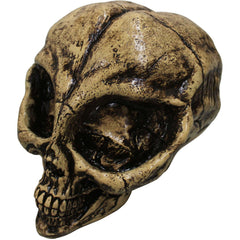 Resin Alien Skull Prop