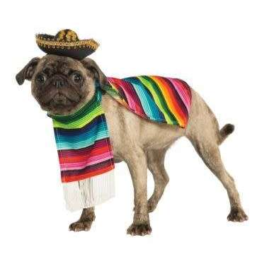 Mexican Serape Dog Costume w/ Sombrero
