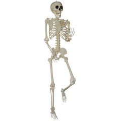 7' Titan Pose & Hold Skeleton Prop Decoration