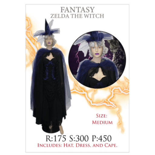 Zelda Fantasy Witch Adult Costume w/ Dress, Cape and Witch Hat