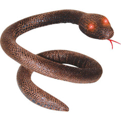 Brown Snake With Light Eyes