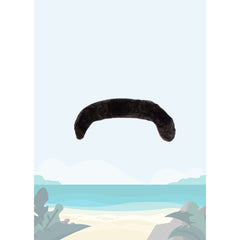 Pirate Accessory Kit w/ Mustache , Earrings , Eyepatch & Hat