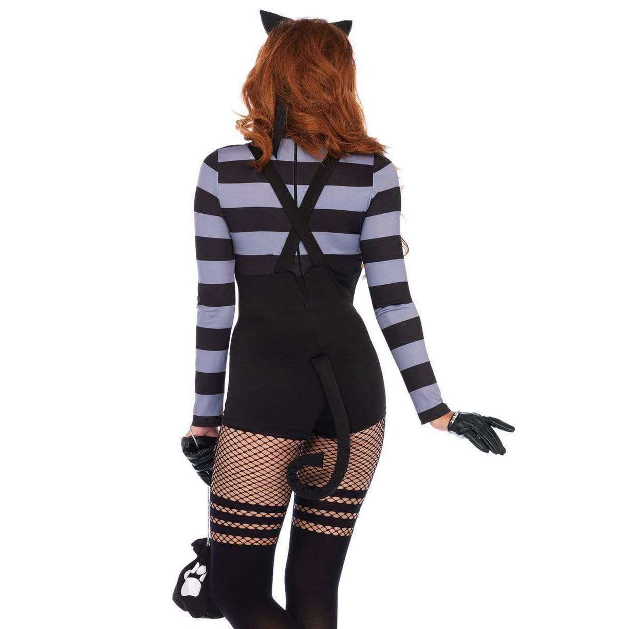 Cat Burglar Woman's Adult Costume